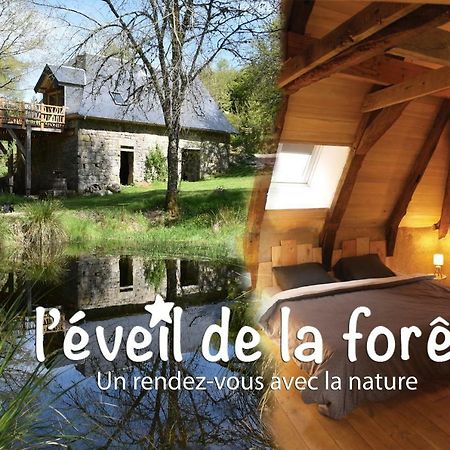 Gite Nature Le Moulin Vitrac-sur-Montane Eksteriør billede