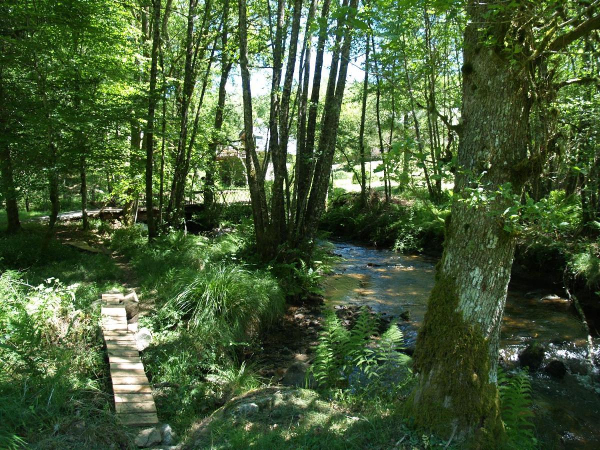 Gite Nature Le Moulin Vitrac-sur-Montane Eksteriør billede