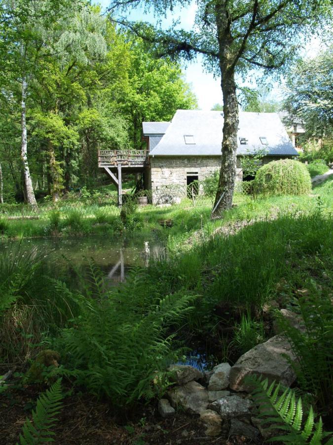 Gite Nature Le Moulin Vitrac-sur-Montane Eksteriør billede