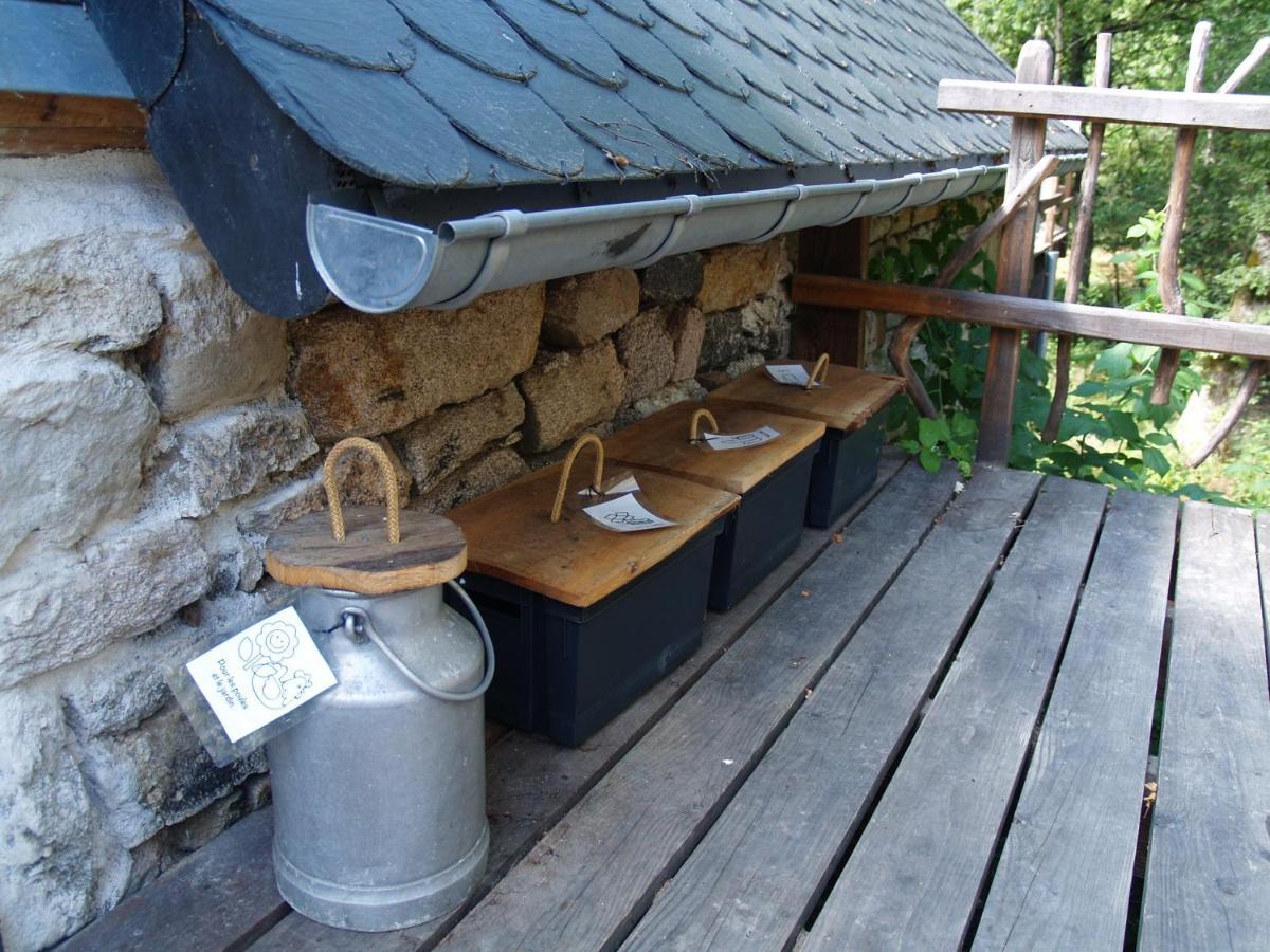 Gite Nature Le Moulin Vitrac-sur-Montane Eksteriør billede