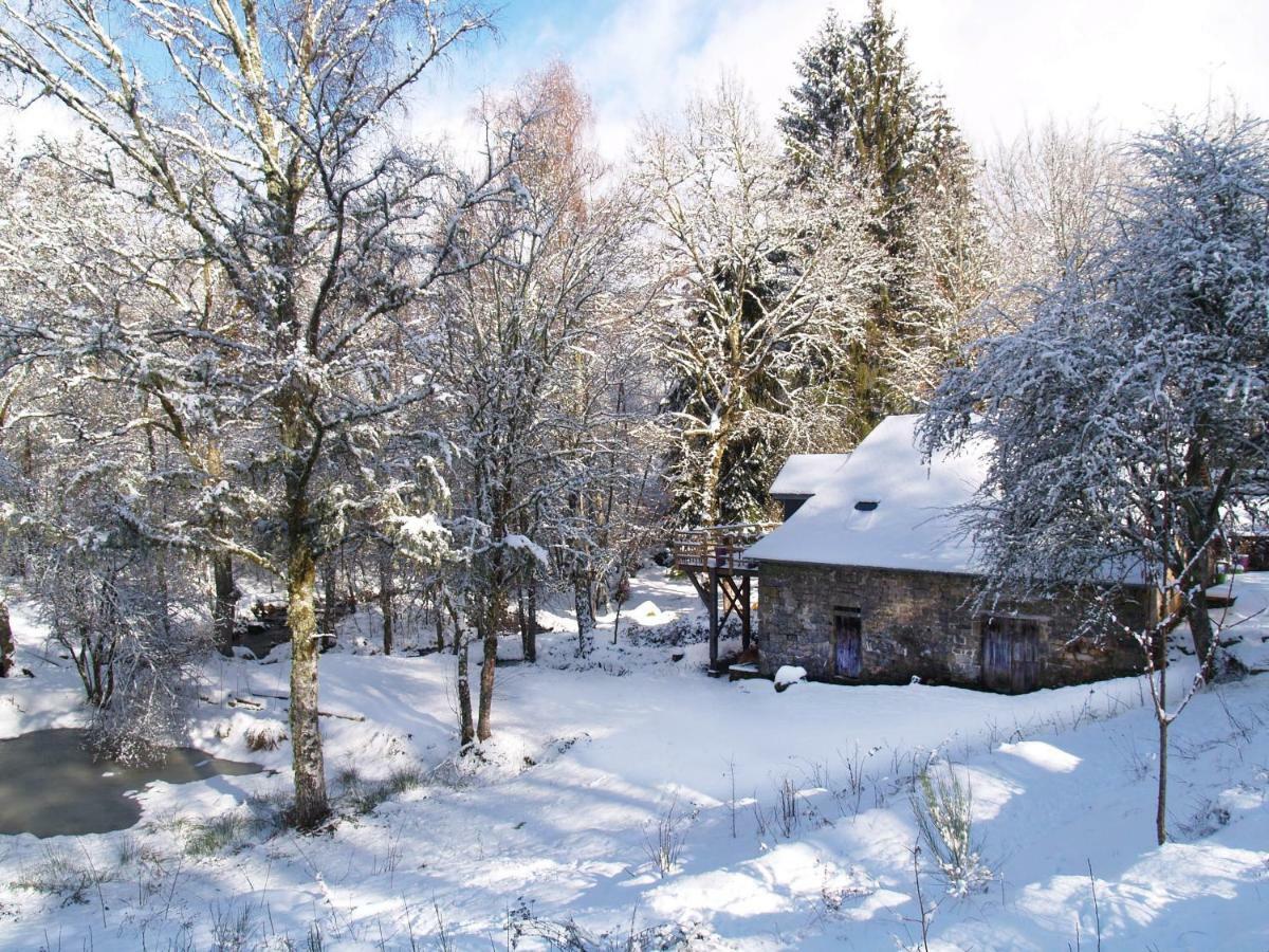 Gite Nature Le Moulin Vitrac-sur-Montane Eksteriør billede