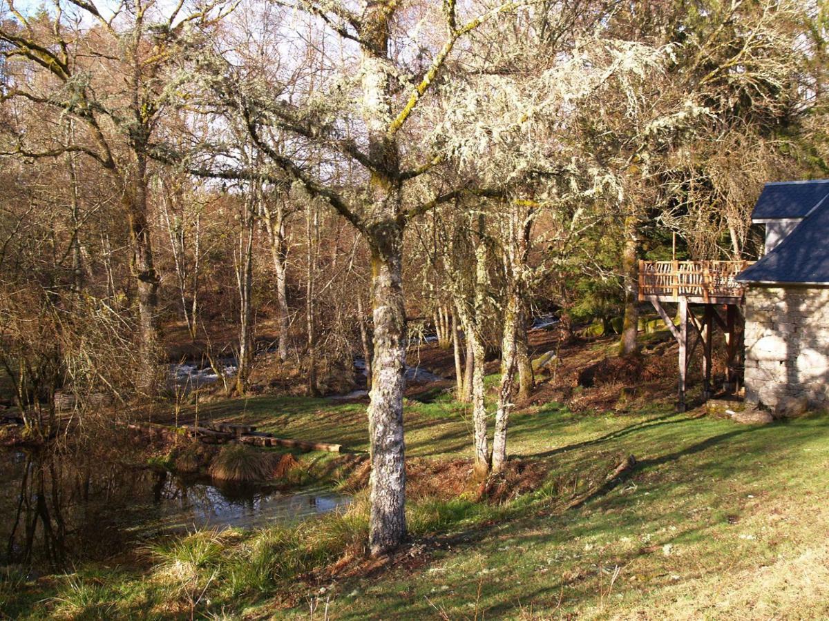 Gite Nature Le Moulin Vitrac-sur-Montane Eksteriør billede