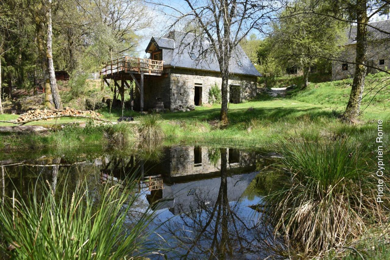 Gite Nature Le Moulin Vitrac-sur-Montane Eksteriør billede