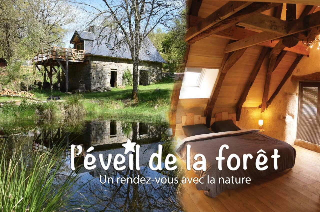 Gite Nature Le Moulin Vitrac-sur-Montane Eksteriør billede