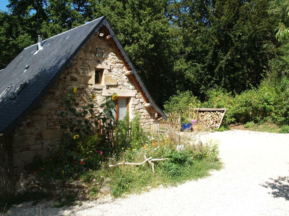 Gite Nature Le Moulin Vitrac-sur-Montane Eksteriør billede
